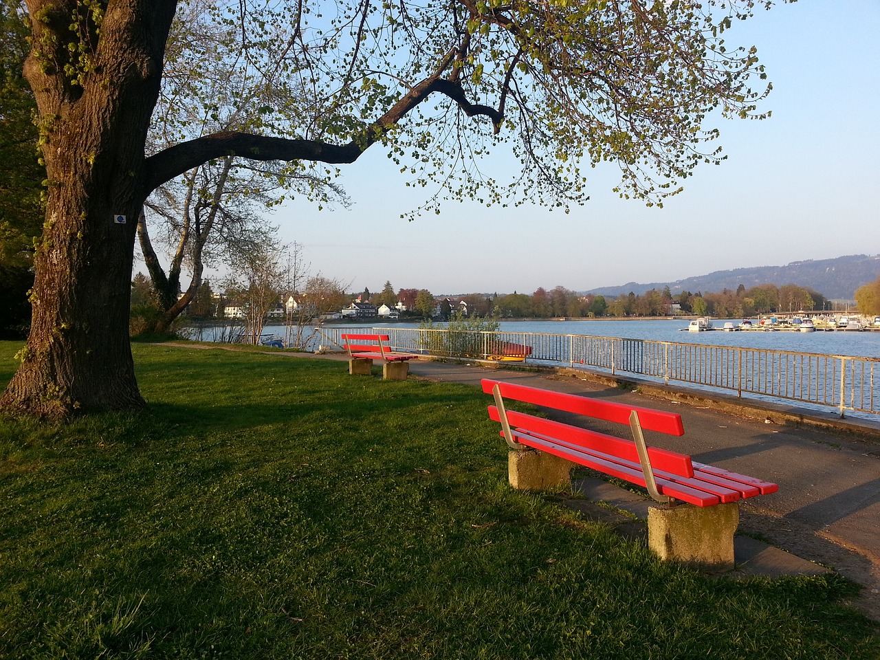 球迷不應過 球迷不應過