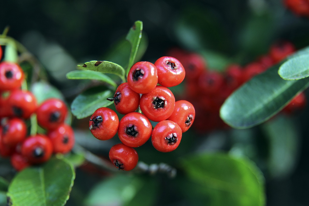 表达谢意 表达谢意