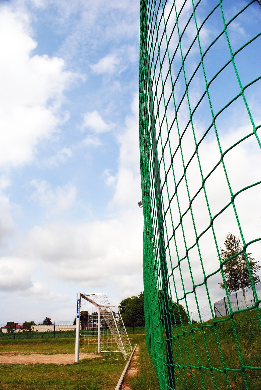 同时体现了 同时体现了