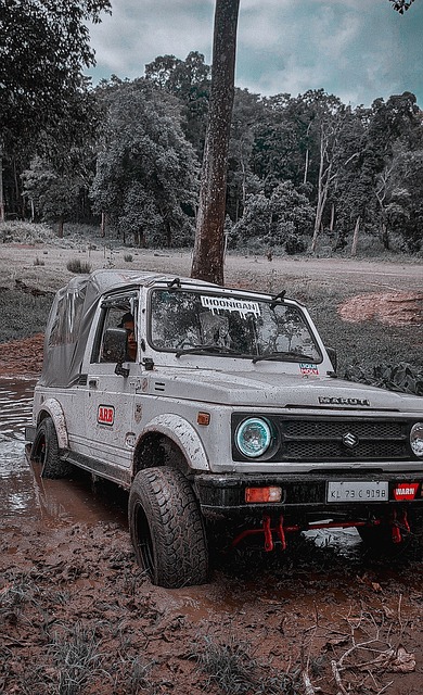 洛夫顿此前 洛夫顿此前